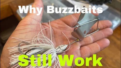 Why Buzzbaits Have Stood The Test Of Time