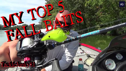 MY Top 5 Fall Baits (TackleJunky81)