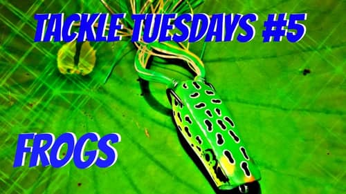Tackle Tuesdays #5 ~ Topwater Frogs ( Bass Fishing Topwater Frogs )