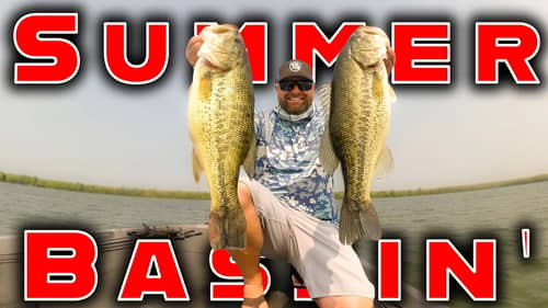 Dropshot Fishing For Summer Bass! (Swimbait And Topwater Bites Too)