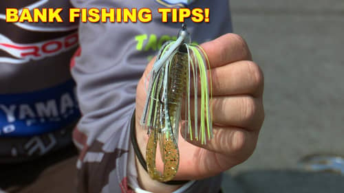 The Best Bank Fishing Swim Jig Tips and Tricks - How To from Wes Logan | Bass Fishing