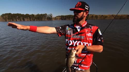 How Michael Iaconelli (Ike) Finds Bass in High Water