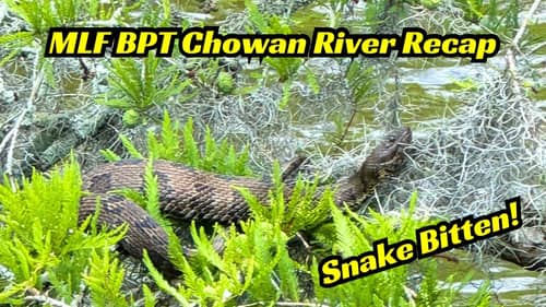 MLF BPT Chowan River Day 2 Recap