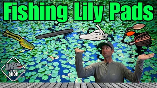 Mastering Lily Pad Fishing: Insider Tips for Monster Bass!