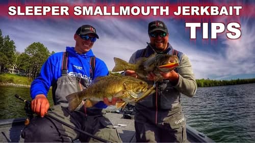 Spring Smallmouth Bass Jerkbait Fishing Tips
