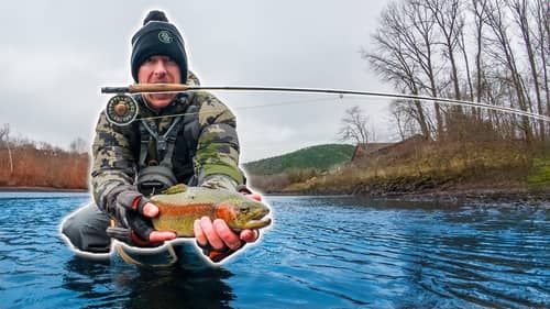 Winter River Trout Fishing the Taneycomo