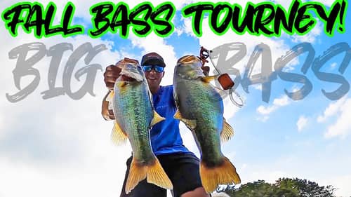 FALL BASS FISHING TOURNAMENT WIN! Catching Big Bass on Lake Guntersville!