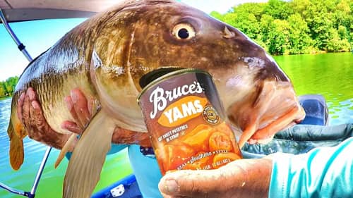 Easy Way To Catch Loads Of Carp! (They Simply Can't Resist This Bait!)