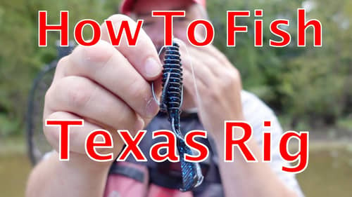 How to Fish a Texas Rig in the Fall