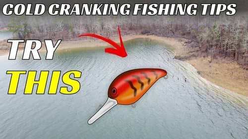 EVERY Fisherman Should Know THIS About Fishing Crankbaits In The Winter