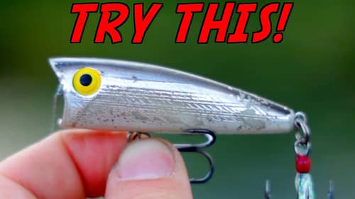 You CAN'T BEAT This Lure For Late Summer Bass Fishing!
