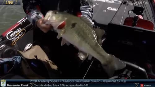 Big Catches from the field of pursuers trying to win the Bassmaster Classic