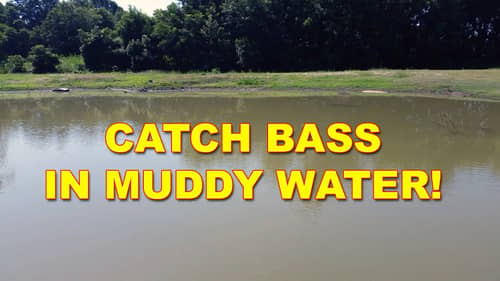 Bass Fishing in Muddy Water | Bass Fishing