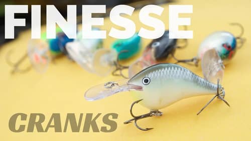 Finesse Crankbaits For Schooling Bass