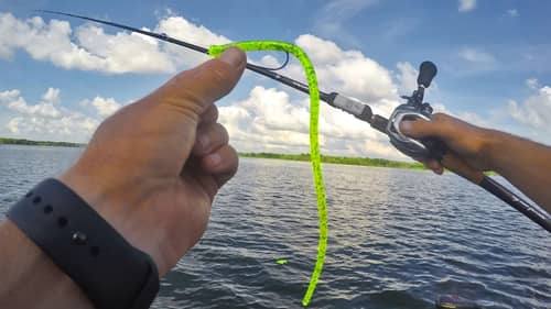 Bass Fishing Off the Bank | NEW LURES & TIPS