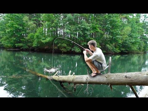 BACKWOODS BASS FISHING -- (Exploring SECRET Woodland Reservoir)