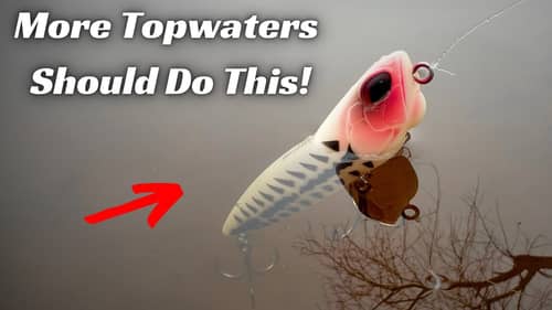 This Topwater Modification Will Make You Think Differently About Topwater Baits!