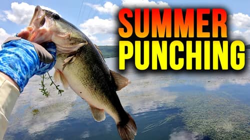 NEVER Used a PUNCH Rig?  (WHY Flipping just Catches BIGGER Fish!!!)