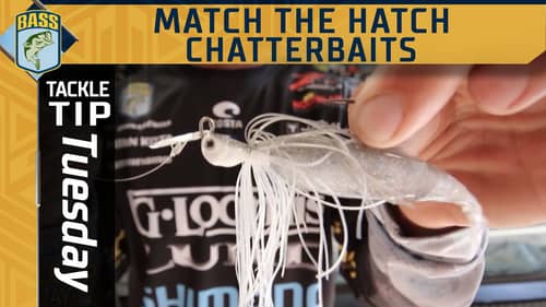 Matching the hatch with a chatterbait this fall