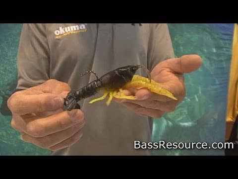 Savage Gear 3-D Crawfish Bait | Bass Fishing