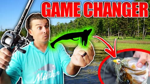 I May NEVER Use a Chatterbait Again! (Grass Fishing GAME CHANGER)