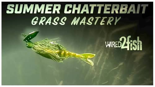 ChatterBait Fishing Grass: Howell's Summer Technique