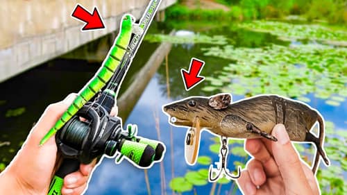 Fishing w/ SNAKES & RATS in SMALL Ponds!