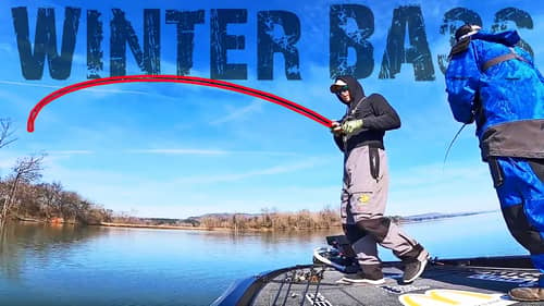 BASS FISHING on Lake Guntersville! (Tennessee River Special)