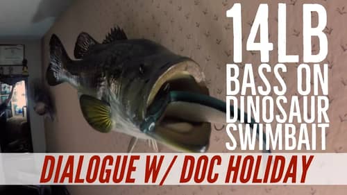 14lb bass on a Worm King Swimbait in Doc Holiday's Bass Cave