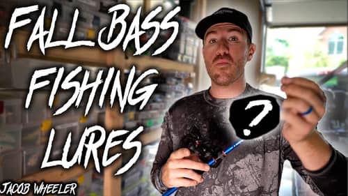 Top 3 BAITS I catch BASS on during the FALL Transition