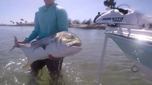 Fishing For Snook and Monster Jack with Live Mullet