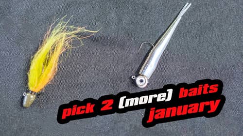 Pick 2 (More) Baits | January