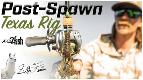 Texas Rig Fishing Post-Spawn Bass with Seth Feider