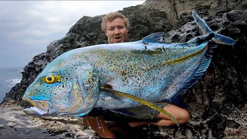 Extreme solo rock fishing big fish in Japan