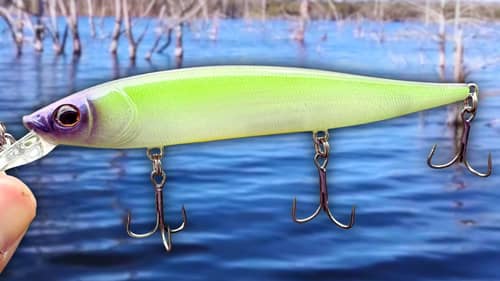 The Best Lure On The Planet Right Now (Jighead Minnow Masterclass) -  Mid Strolling 