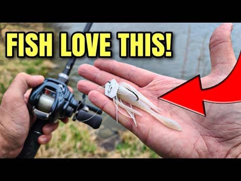 The BEST Chatterbait for Tough Conditions (Spring Fishing)
