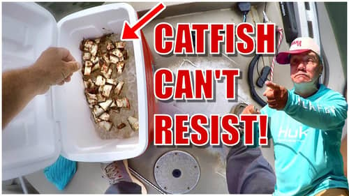 Easy Way To Locate And Catch Catfish To Eat!