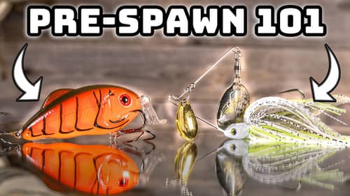 Catch 10x MORE Bass With These Lures! (Pre-Spawn Fishing Tips)