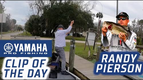 Yamaha Clip of the Day - Randy Pierson's dramatic 7-pounder on Day 3