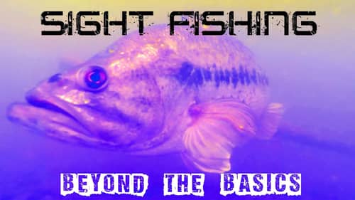Sight Fishing: Beyond the Basics