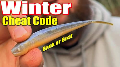 Easiest Way to Catch Winter Bass From Bank or Boat - Tightlining