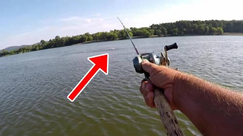 IMPORTANT Tip For Catching ANY Fish!!!