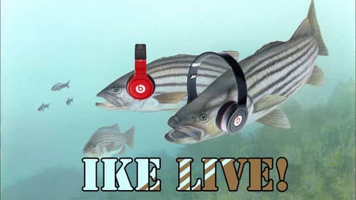 Adrian Avena Striper Fishing, After Hours, Winter Leagues - Ike Live Clip