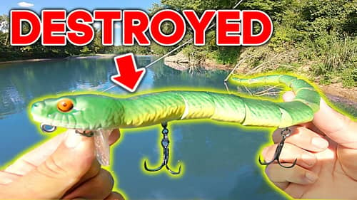 Topwater Snake Lure gets DESTROYED by ANGRY River Fish!!