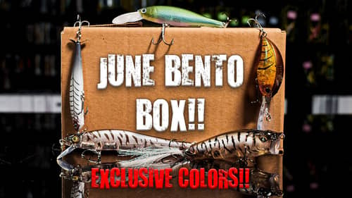 This $100 Mystery Box Is Loaded With Hard To Find Japanese Lures!! June Bento Breakdown!!