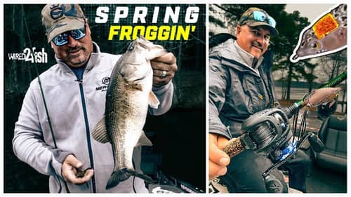 Frogging Early Spring Bass | Timing, Gear and Location‼️