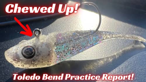 Toledo Bend Practice Recap! Day 1 Starts Today!