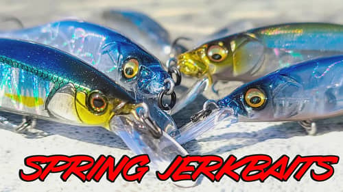 Jerkbait and Fluke Fishing Tricks For Spring Bass Fishing!