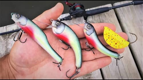 Experimenting with Different Shaped Lures