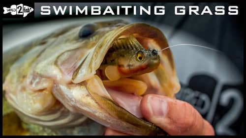 Catch Grassline Bass with the Megabass Dark Sleeper Swimbait